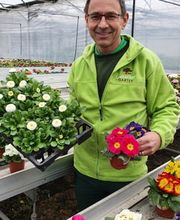 Luzerner Garten AG Bild 4