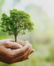 LB Haustechnik | Michael Ganter Bild 3