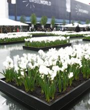 Maleratelier Ramirez Bild 6