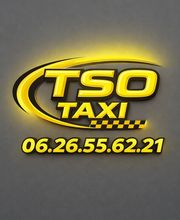 TSO Taxi image 1