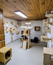 Douce Ronronnade image 5