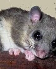 Montélimar 4D image 4