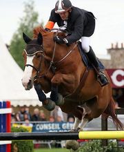 Ecuries Sylvain Frère image 2