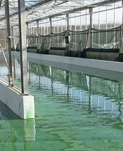 Les Champs Jouault image 7