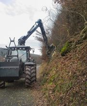Kunz & Mehr Garten- und Landschaftsbau Bild 2