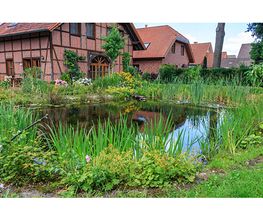 Thomas Echterhoff Garten- und Landschaftsbau Bild 7