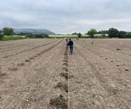 AGRI REA image 10