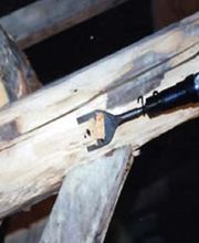 DGRG image 8