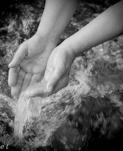 Laurence Fourcade image 1