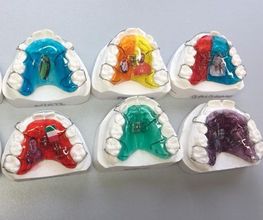 Ortho Technic image 1