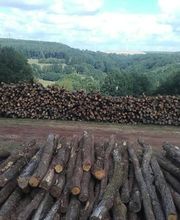 Ads Bois SARL image 2