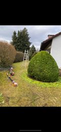Röck Dienstleistungen