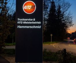Reparaturwerkstätte Hammerschmid GmbH & Co. KG | KFZ- Service Bild 3