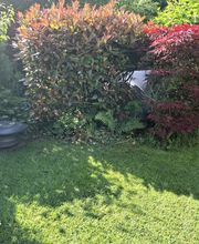 Allrounder-Masters Nezel Bild 9