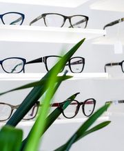 Gallery Professionale