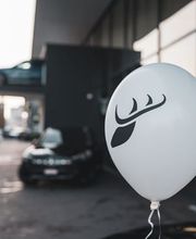 Hirsch Ruckstuhl AG Bild 12