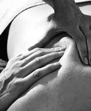 Ropers Tangui image 1