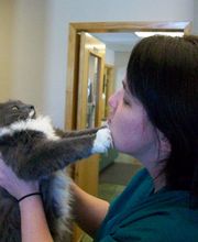 Belle Plaine Animal Hospital image 5