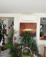 DNE image 6