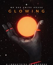 Mr Dee Swiss House Bild 4