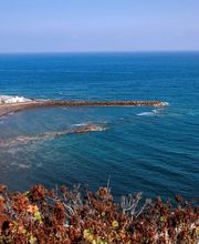 O7 Tenerife imagen 8