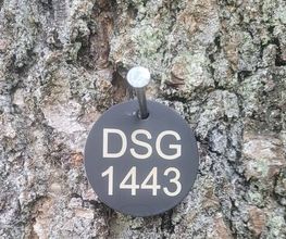 FriedWald Donaueschingen Bild 1