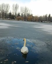 Adrián Otero Díaz imagen 2