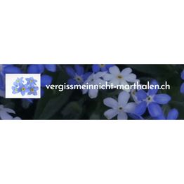 Blumen Vergissmeinnicht