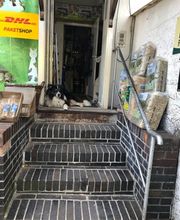 Zoopalästchen Bild 13