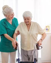 Ludwig Alltagsbegleitung Bild 1