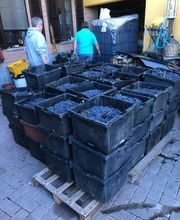 Vinum Verum GmbH Bild 3