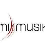 Mik Musik image 1