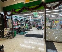 Feu Vert image 2