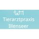 Dr. Marita Illenseer Tierärztin