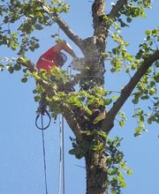 Go Garden Go GmbH Bild 4