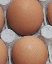 Sas Oeufs Arradoy image 4