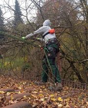 Verde Gartenbau Meisterbetrieb Bild 6