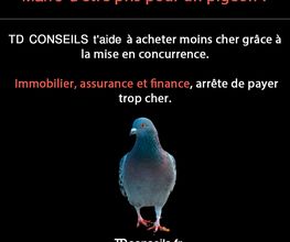 TD Conseils image 6
