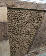 Malerwerkstatt Schüttler GmbH Bild 15