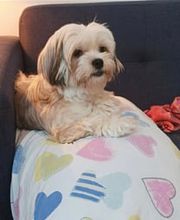 Domaine Fasalie image 5