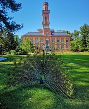 OFFICE DE TOURISME DE TARBES image 7