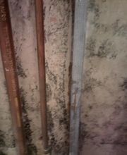 Alliance Environmental Group image 4