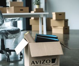 Avizo image 4