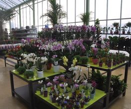 Jardinerie Teyssier image 3