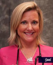 The Pet Doctor - O'Fallon image 7