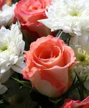 Coquoz & Sarrasin Bild 3