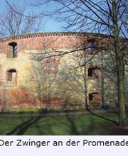 Stadt Lupe Münster Touristik und Führungen Bild 23