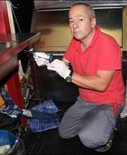 Kreienbühl - Schädlingsbekämpfung Bild 8