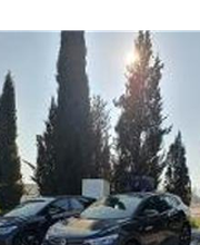Wenea imagen 5