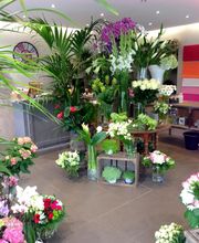 Savina Fleurs image 15